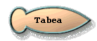  Tabea 